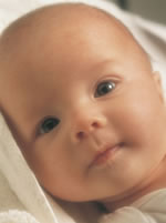bebe